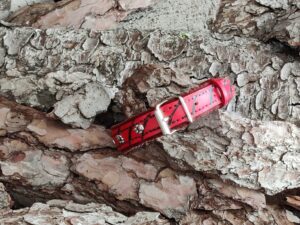 Avani Fantasy Colored & Decorated, Savara Cherry-Red, S