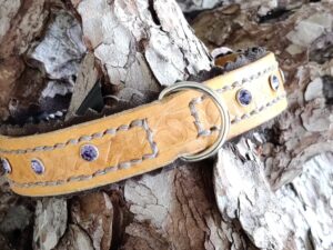 Avani Fantasy Colored, Tooled & Decorated, Xsona Sun-Gold, XS