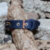 Oslo Blue Fantasy, Decorated, Morona Dark-Blue, M