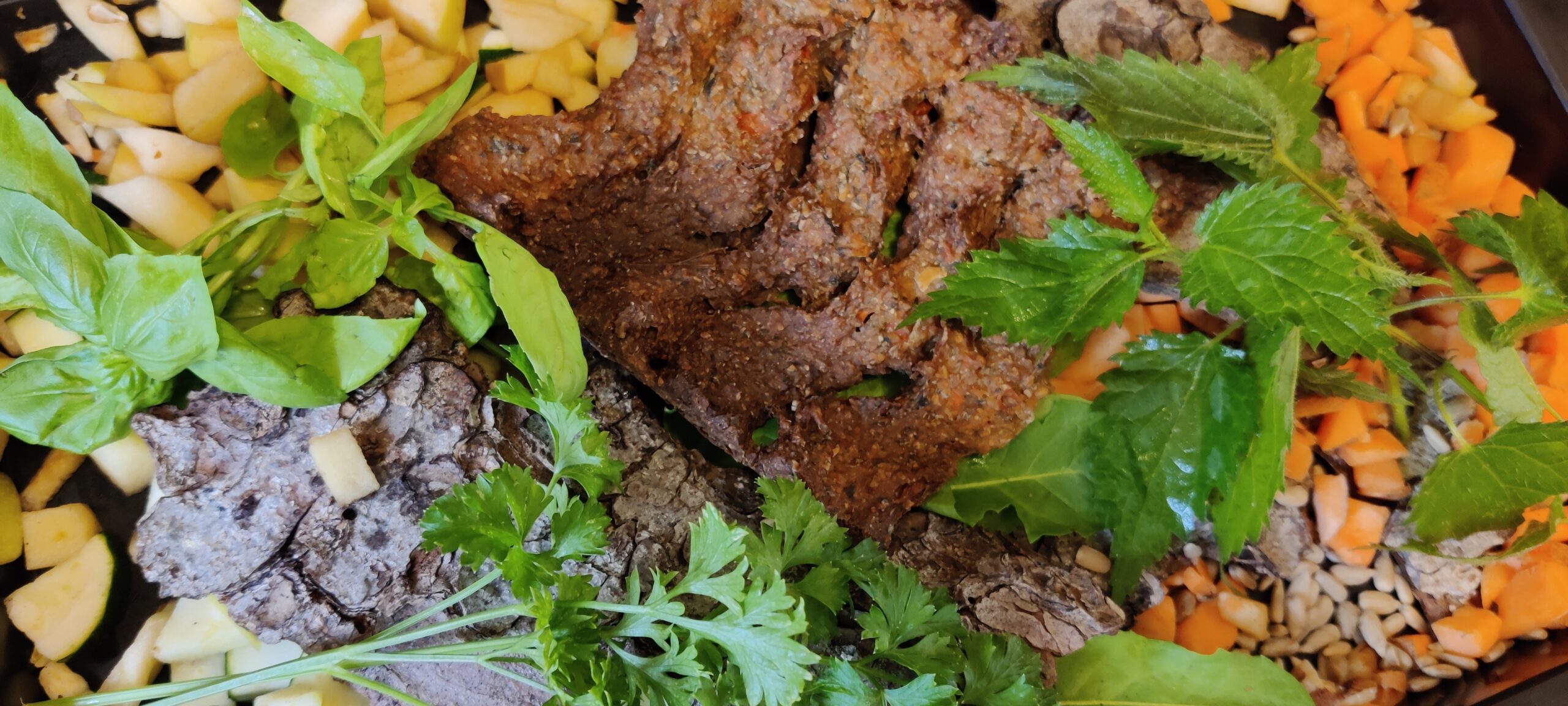 Urdinkel-Cracker mit Gemüse & Obst - PlantRips – Bild 3